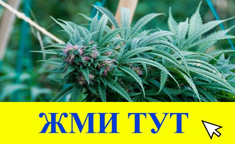 Купить наркотики в Ухте